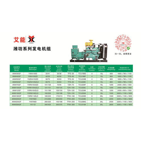 艾能濰坊里卡多系列發(fā)電機組